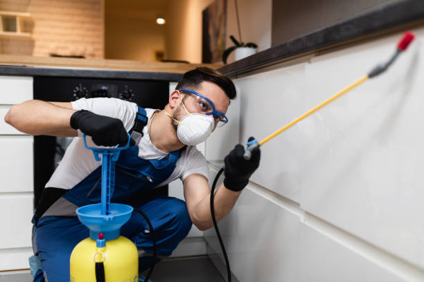 Best Ant Control Services  in Algonquin, MD