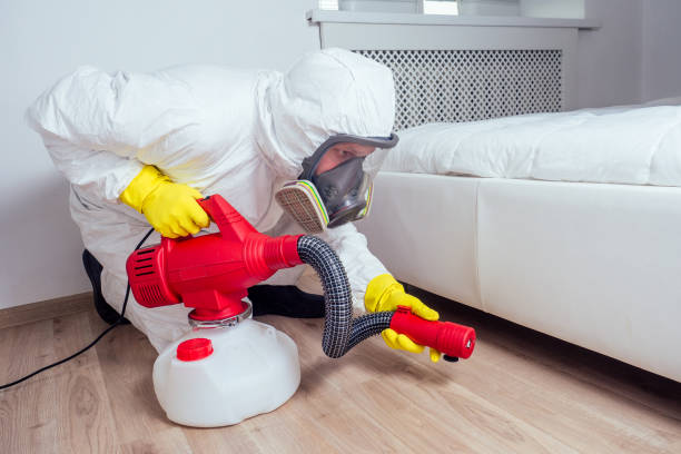 Best Local Pest Control Services  in Algonquin, MD