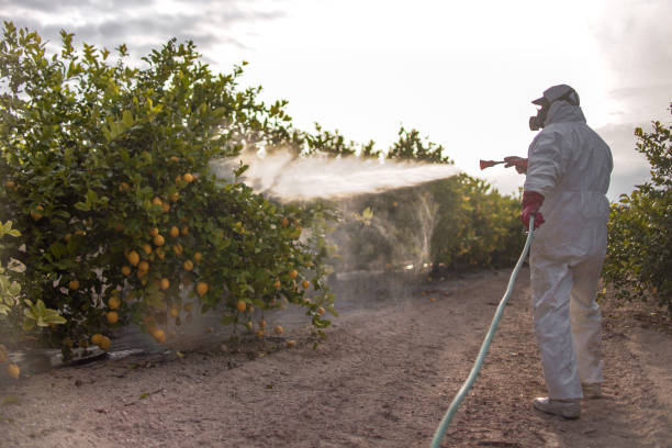  Algonquin, MD Pest Control Pros