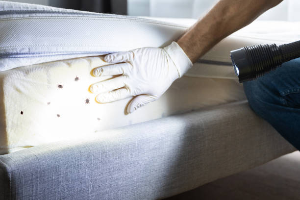 Best Residential Pest Control  in Algonquin, MD