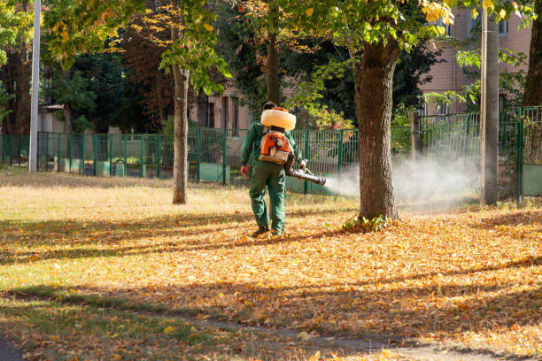 Best Wasp Removal Services  in Algonquin, MD